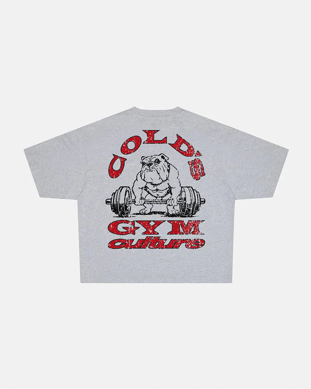 COLD CULTURE COLD´S GYM BOXY TEE